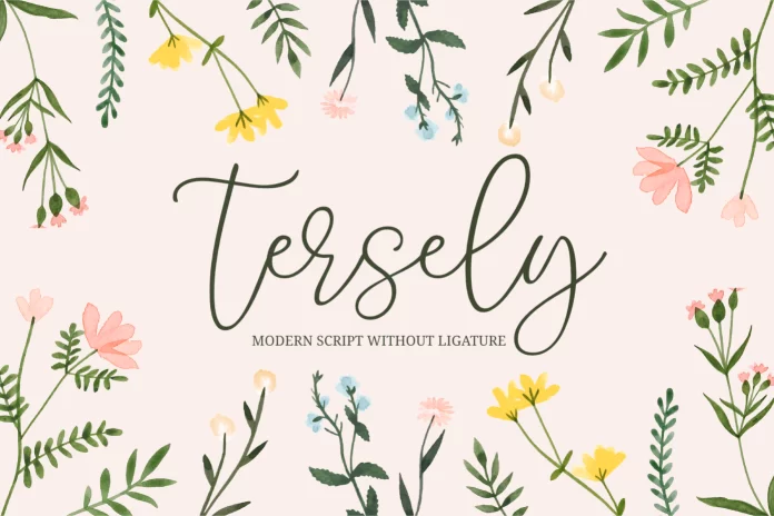 Tersely Font