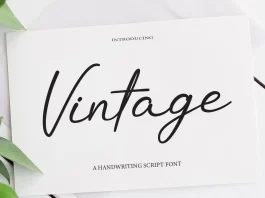 Vintage Typeface Font