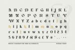 Voina Font