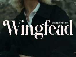 Wingfead Font