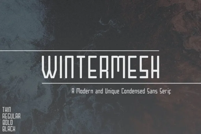 Wintermesh Font