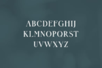 Womack Font