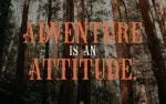 Nestcology - Vintage Display Font