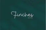 Gasing Script Font