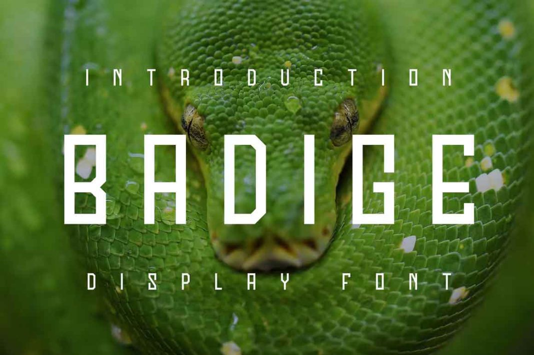 Badige Font