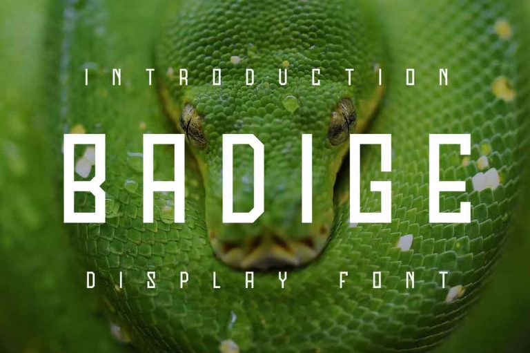 Badige Font