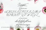 Bidara Farannisa Font