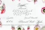 Bidara Farannisa Font
