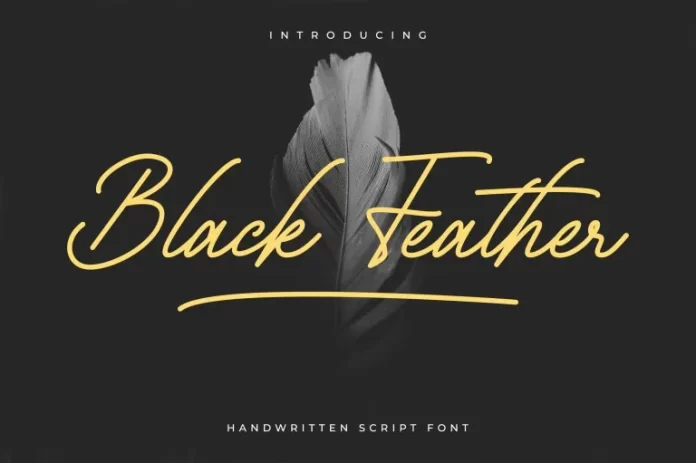 Black Feather Script Font