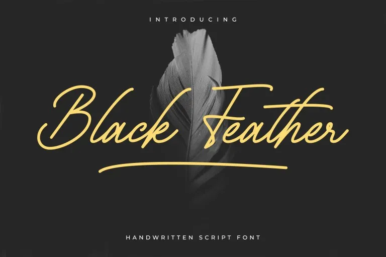 Black Feather Script Font