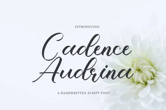 Cadence Audrina Font