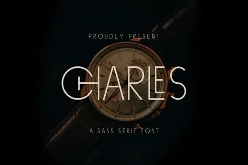 Charles Sans Serif Font