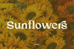 Chiffone Font