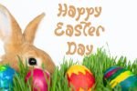 Cute Easter Display Font