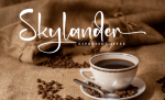 Dignhaty Beautiful Script Font