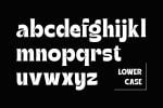 Grivent Font