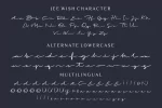 Jee Wish - Handlettered Brush Script Font