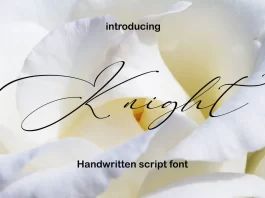 Knight Font