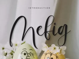 Mefig Font