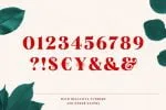 Mogan Font