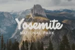 National Forest Font Duo