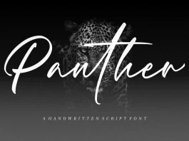 Panther Script Font