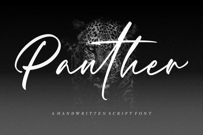 Panther Script Font