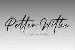 Panther Script Font