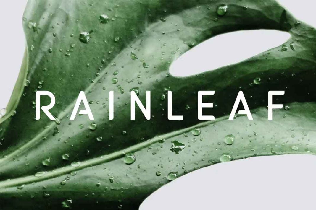 Rainleaf Font