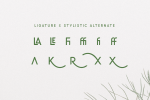 Rainleaf Font