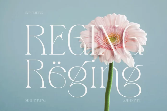 Reging - Serif Typeface Font