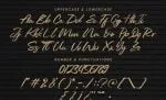 Reinkies - Authentic Brush Font