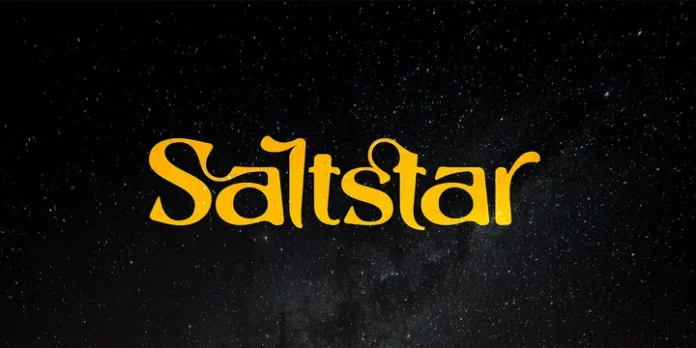 Saltstar - Elegant San Serif Font