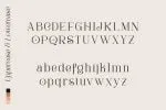 Sophia Laluna - Modern Elegant Serif Font