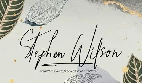 The Maestro - Signature Classic Font