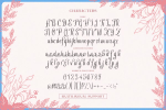 Winter Rosetta Font