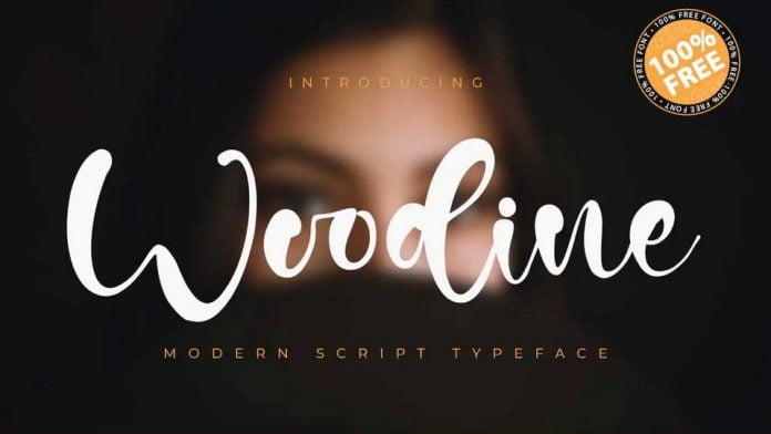 Woodine - Modern Script Typeface Font