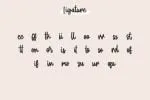 Joylady Handwritten Script Font