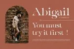 La Chore | Modern Elegant Serif Font