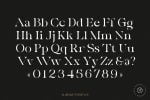 La Chore | Modern Elegant Serif Font