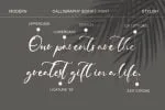 Adam Samuel - Handwritten Script Font