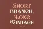 Aesthic Classic Font