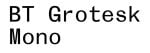 BT Grotesk Family Font