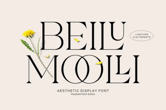 Beilu Mooli Font