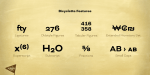 Bicyclette Font