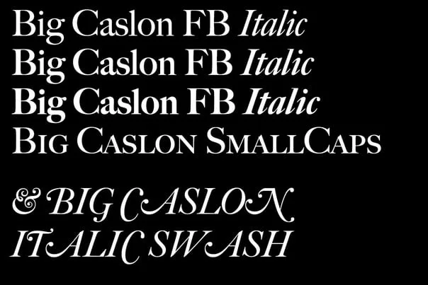 Big Caslon FB Font