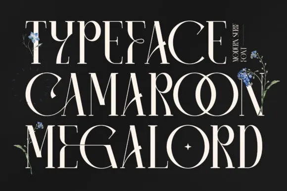Camaroon Megalord Serif Font