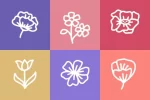 Cute Flowers Dingbat Font