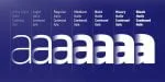 Jam Grotesque Font Family
