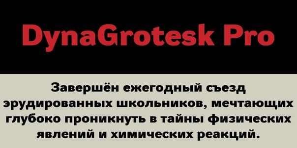 DynaGrotesk Pro Font